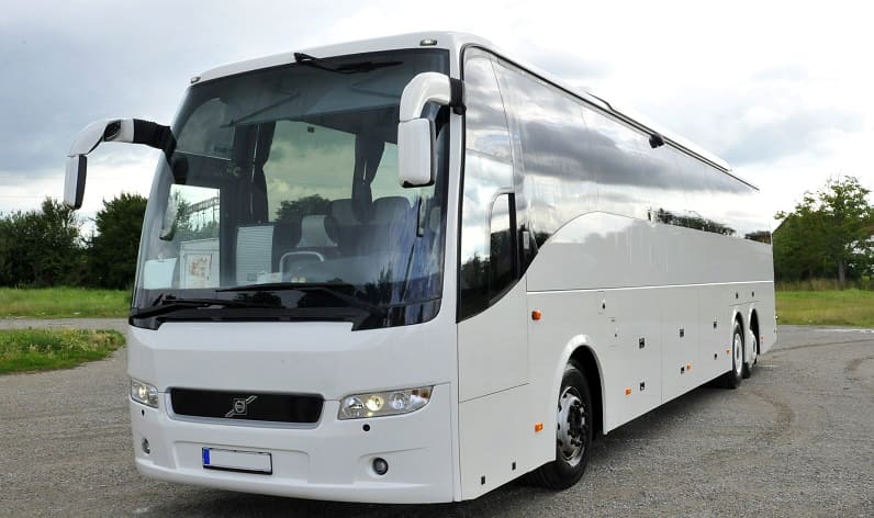 Sicily: Buses agency in Palermo in Palermo and Italy